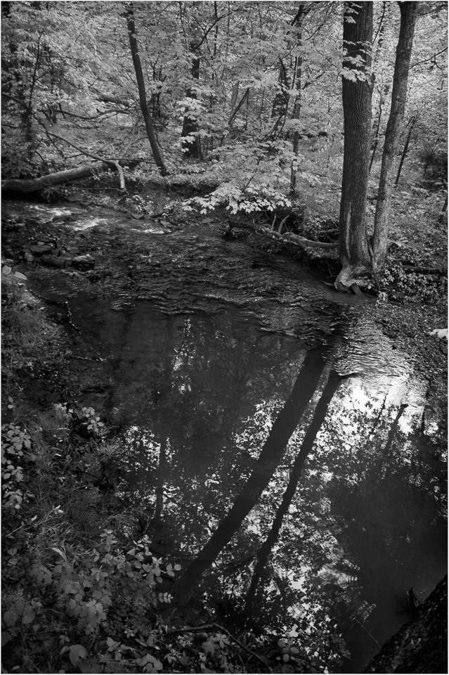 May-Showers-Bring-Great-Natural-Mirrors.jpg