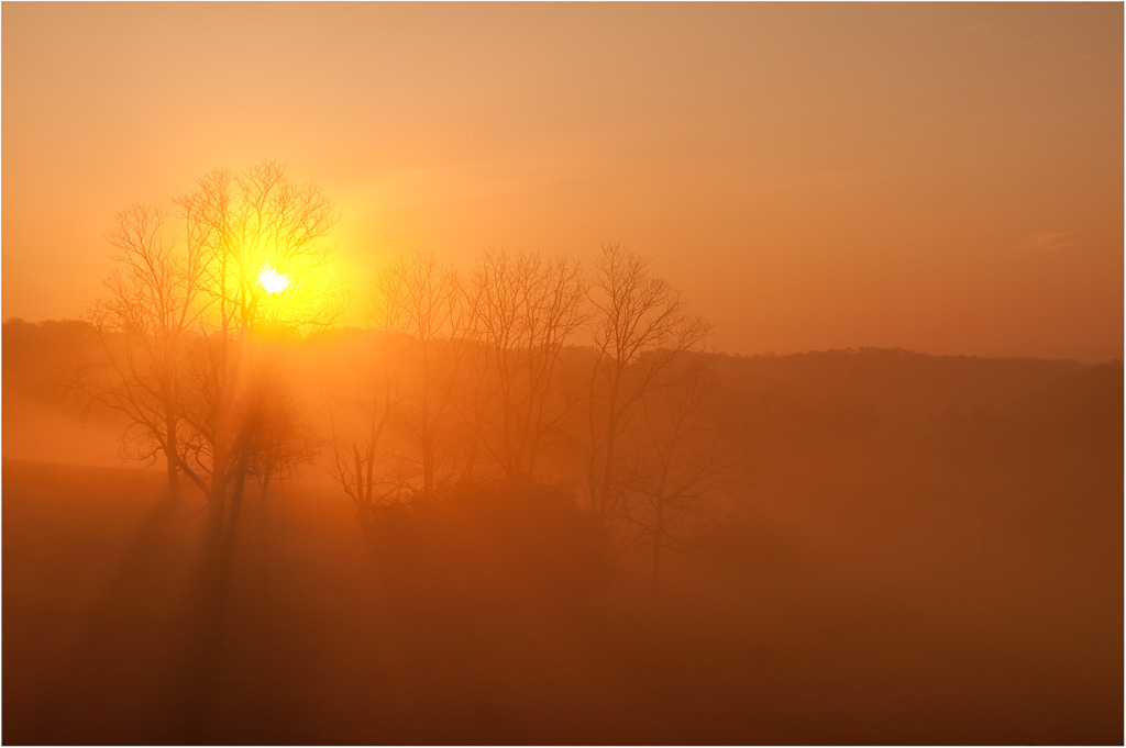 Misty-Morning-On-Hickory-Ridge.jpg