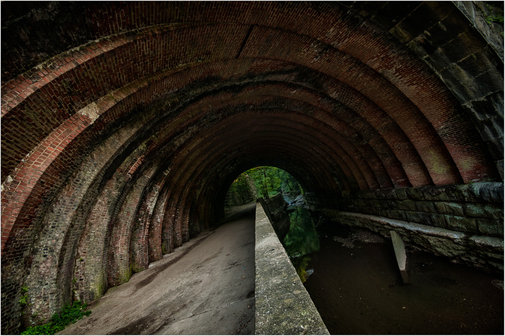 Passage-To-The-Trees.jpg