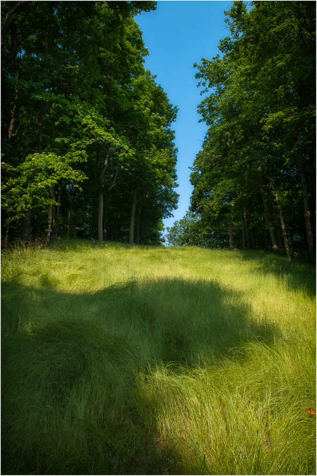 River-Of-Grass.jpg