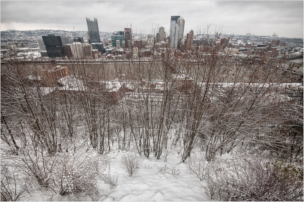 Snow-On-The-Mountain.jpg