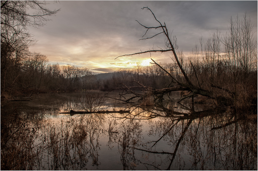 Sunrise-At-The-Pond.jpg