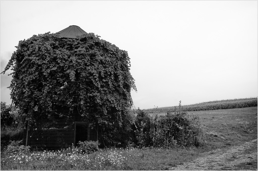 The-Bearded-Corn-Crib.jpg