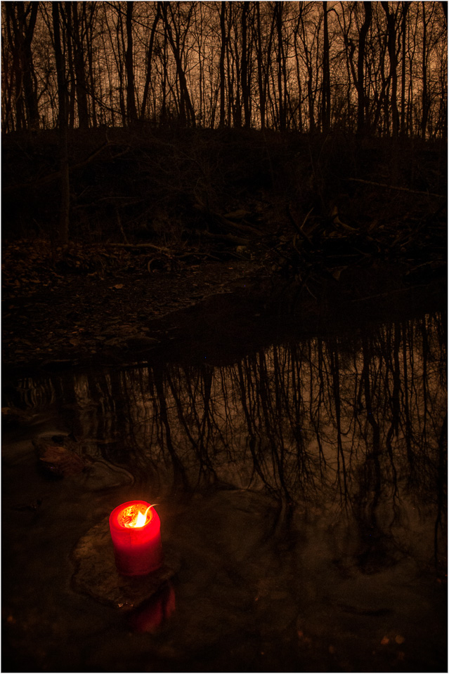 The-Candle-In-The-Woods.jpg