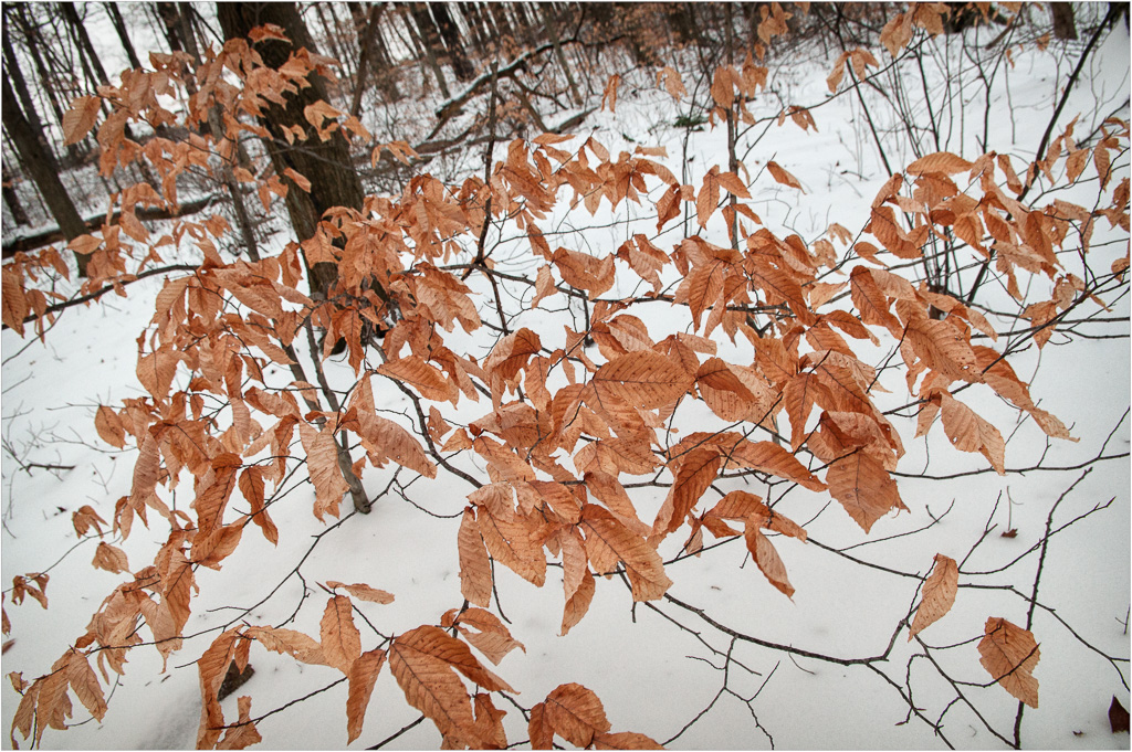 The-Flow-Of-Changing-Seasons.jpg