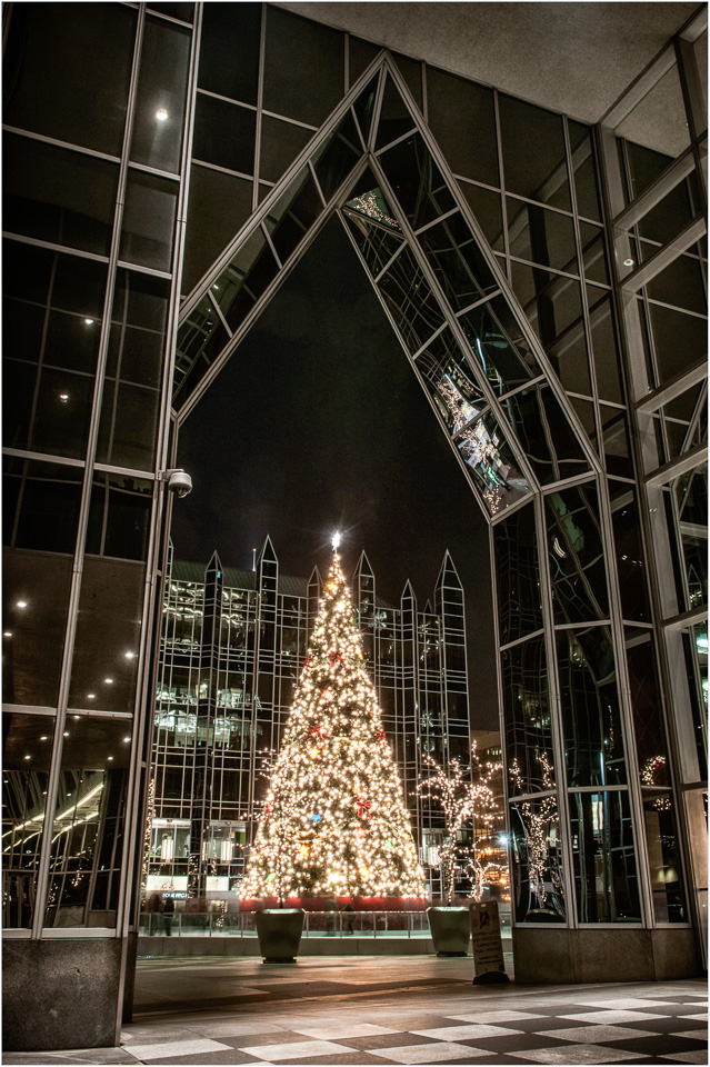 The-Tree-In-The-Ice-Between-The-Towers-Of-Glass.jpg