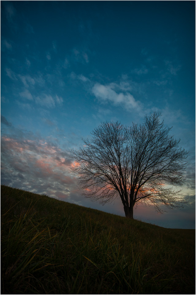 Viewing-The10,000th-Sunset.jpg