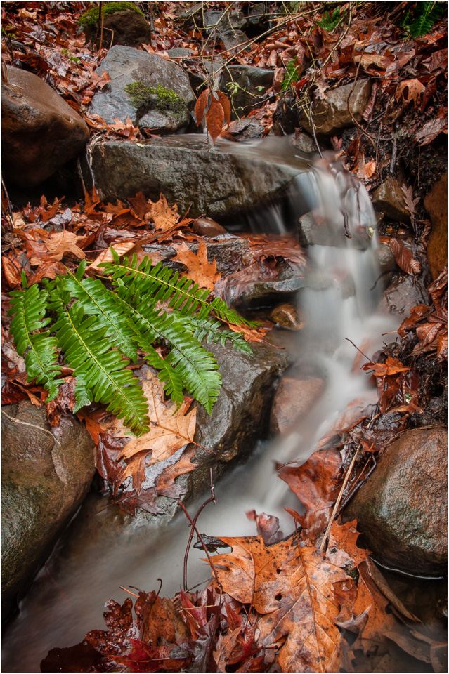 Waterfalls-Live-For-A-Rainy-Day.jpg