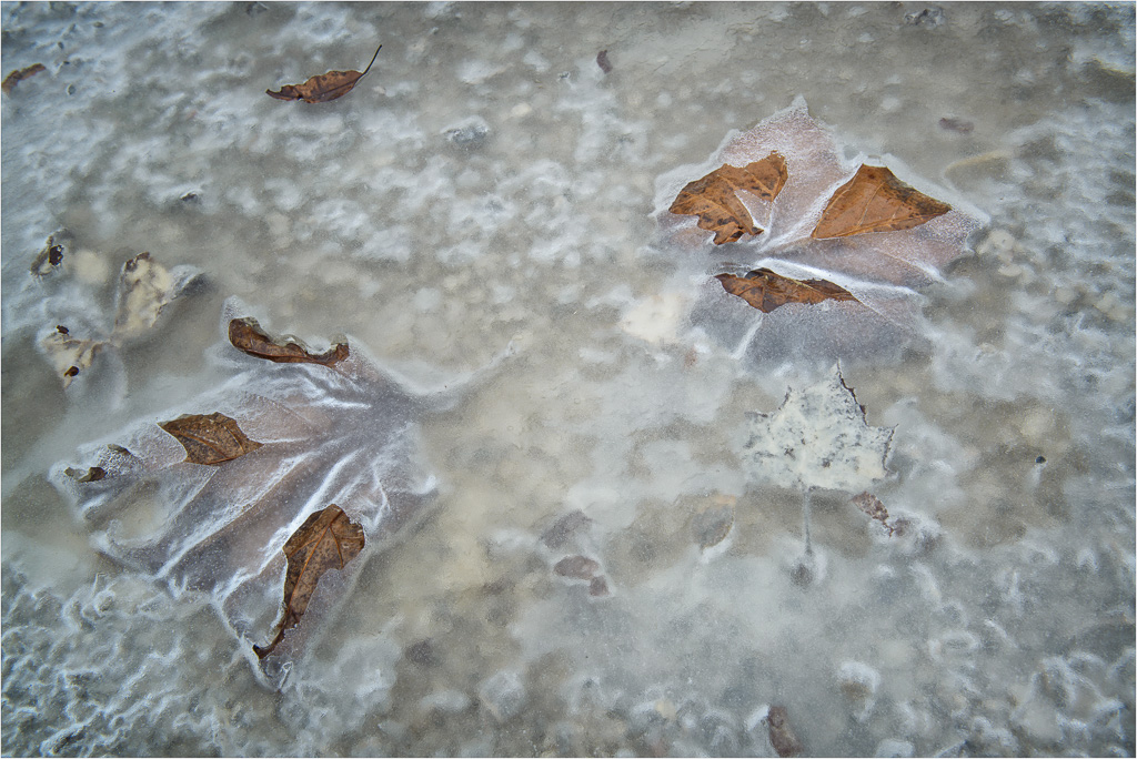 Autumn-On-Ice.jpg