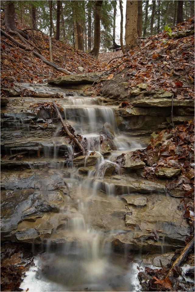 Only-Flowing-During-A-Rain.jpg