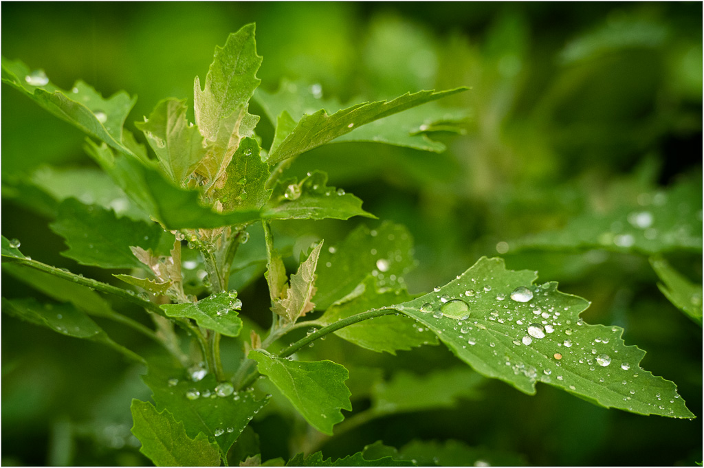 Raindrop-Rest-Stop.jpg