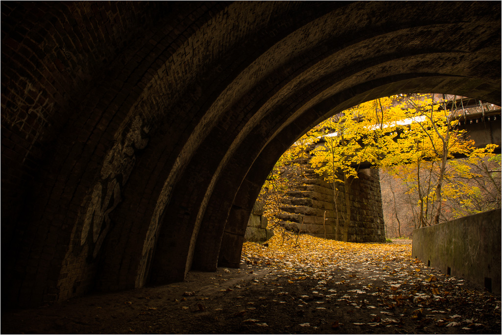 The-Tunnel-To-Golden-Paths.jpg