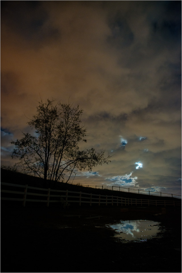 Tree-Clouds-Moon-Puddle.jpg