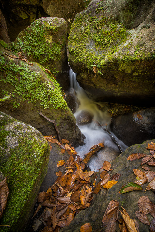 Where-The-Water-Flows.jpg