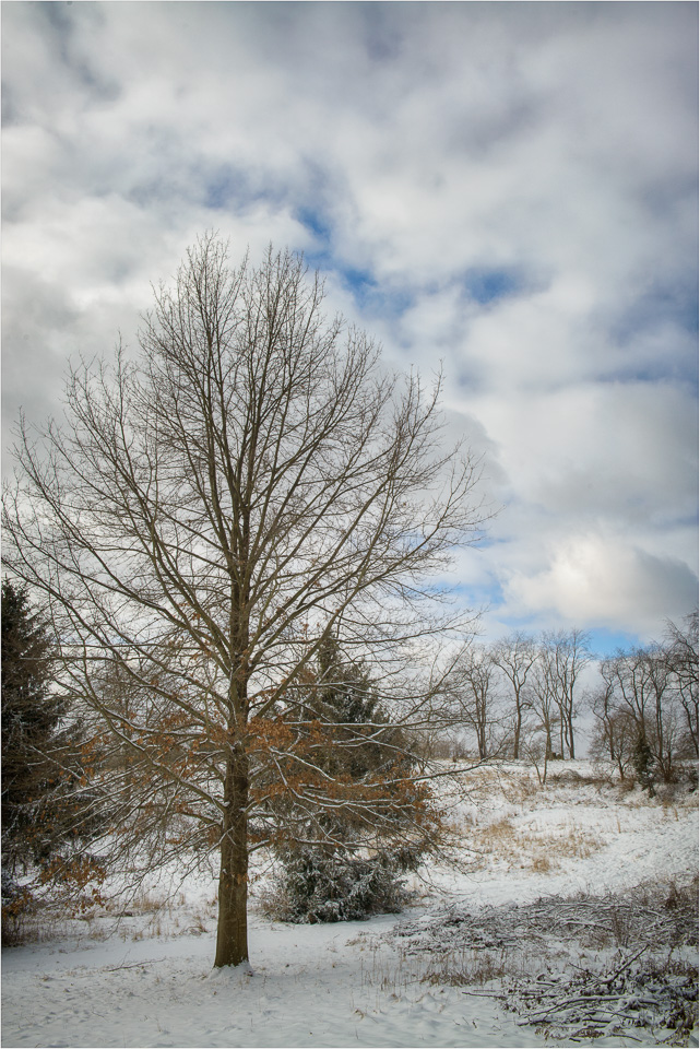 Blue-Skies-In-Winter.jpg