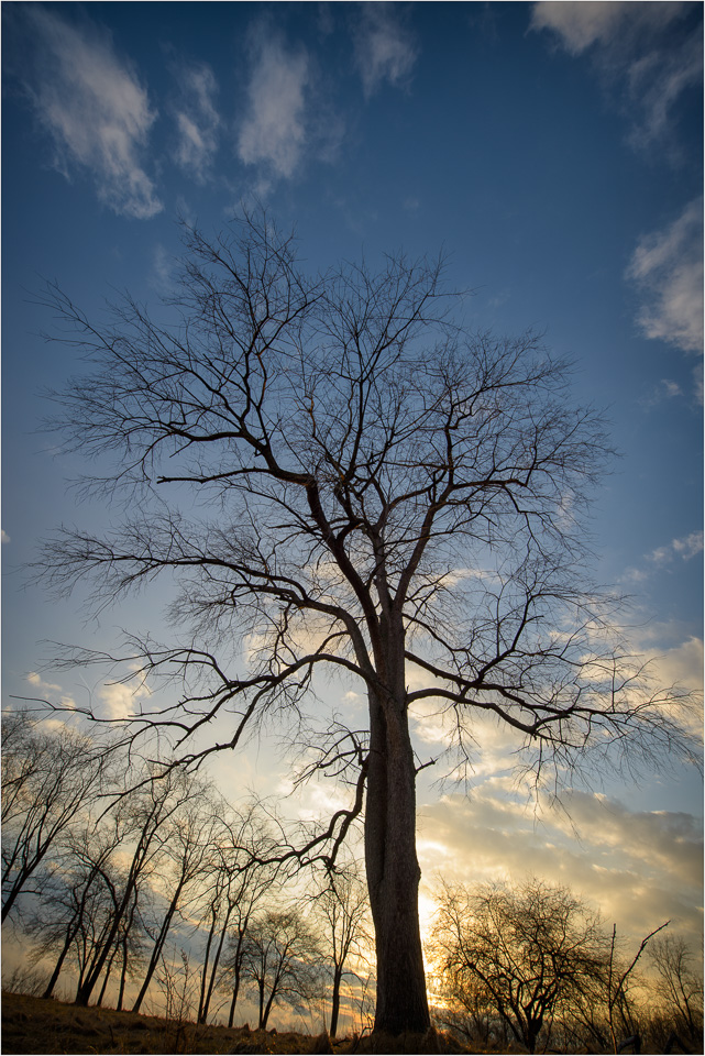 First-Sunset-Of-Spring.jpg