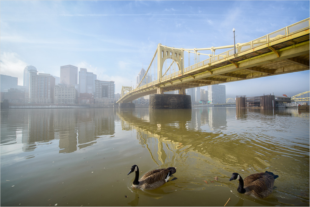 Foggy-Morning-Swim.jpg