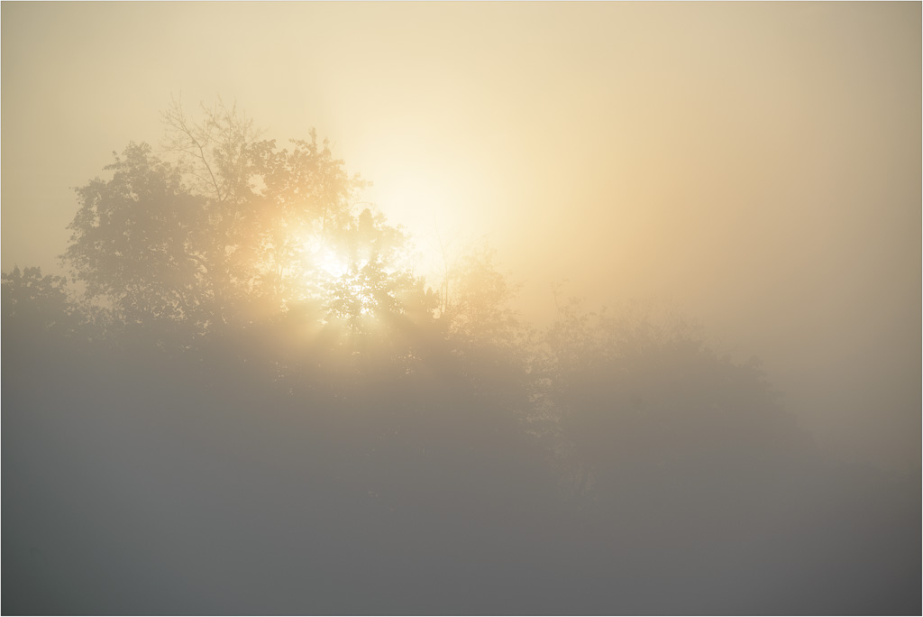 Foggy-Sunrise-In-Brownsville.jpg