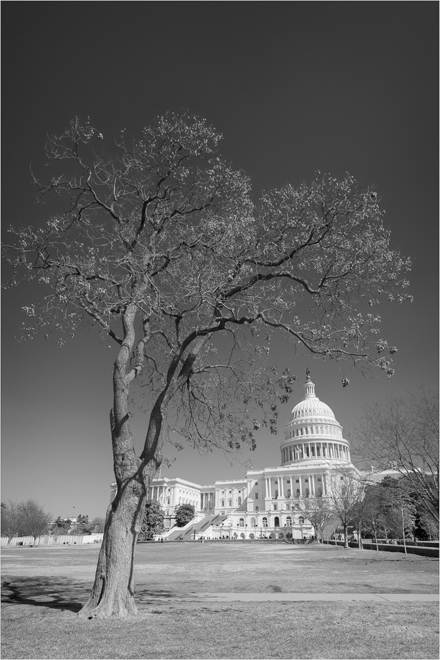 Framing-The-Capitol-BW.jpg