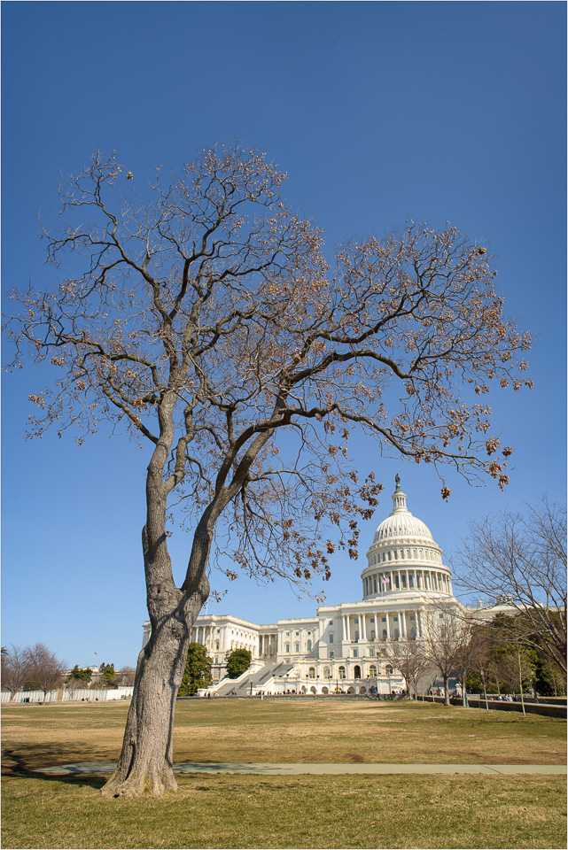 Framing-The-Capitol.jpg