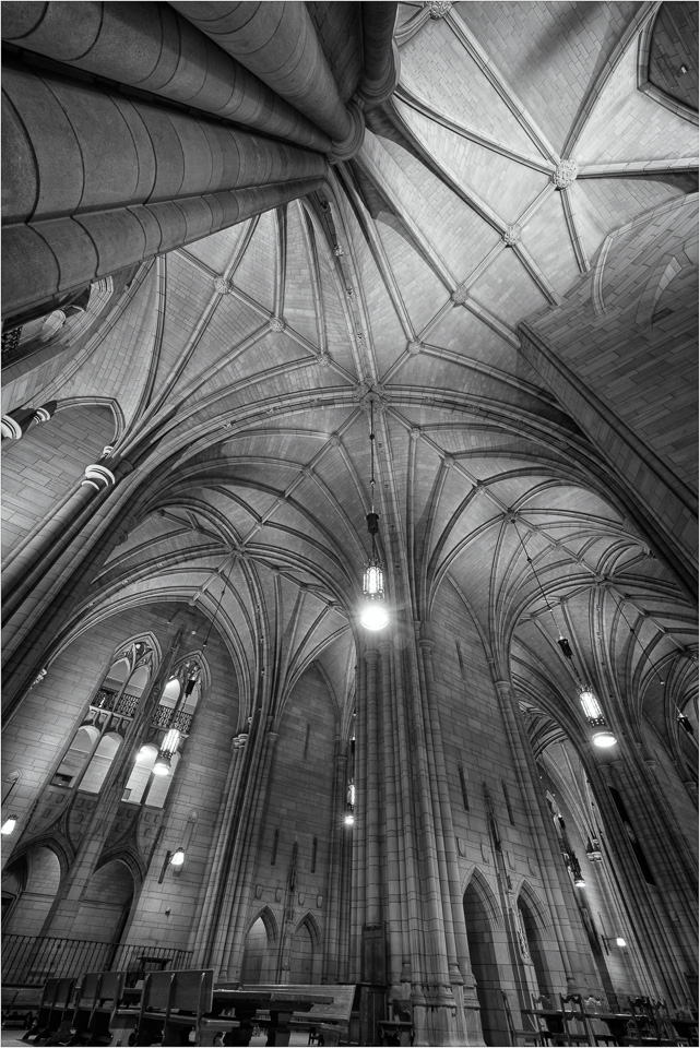 In-The-Belly-Of-The-Cathedral.jpg