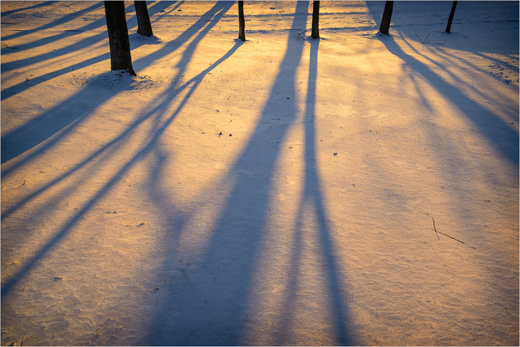 Long-Shadows-On-Golden-Snow.jpg