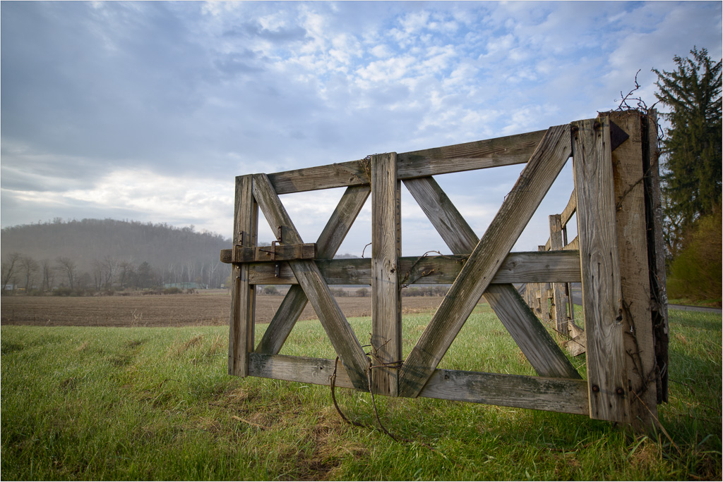 Saturdy-Morning-In-The-Country.jpg