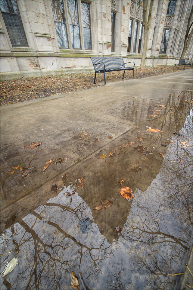 The-Bench-Of-Learning-And-The-Cathedral-In-The-Puddle.jpg