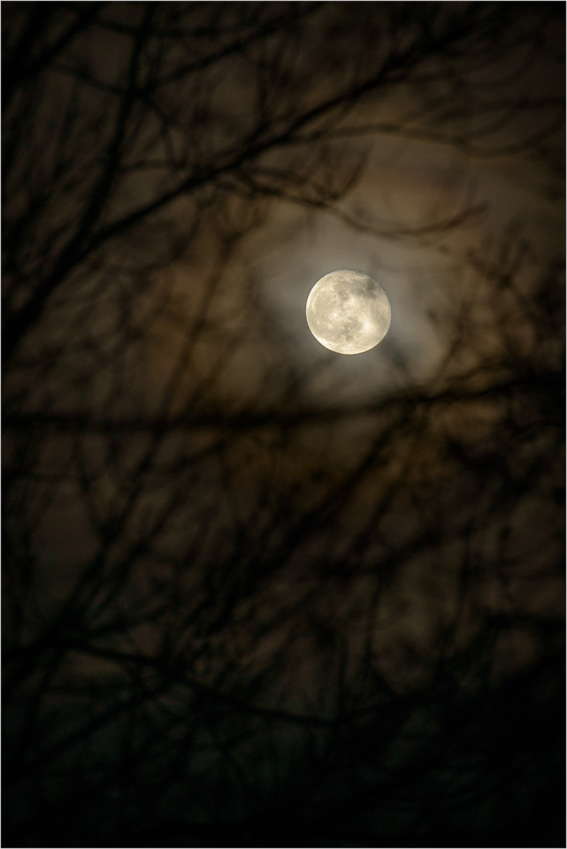 The-Spring-Moon.jpg