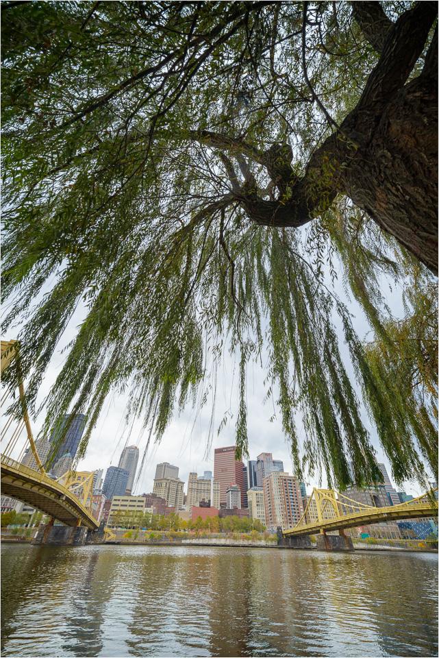 Weeping-On-The-Bank-Of-The-Allegheny.jpg