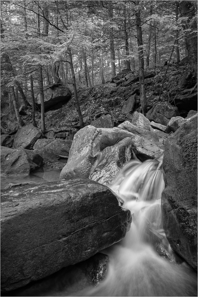 Wet-Rocks-And-Glowing-Leaves.jpg