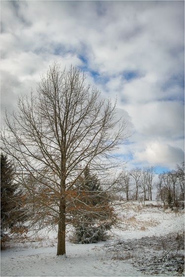 Blue-Skies-In-Winter.jpg