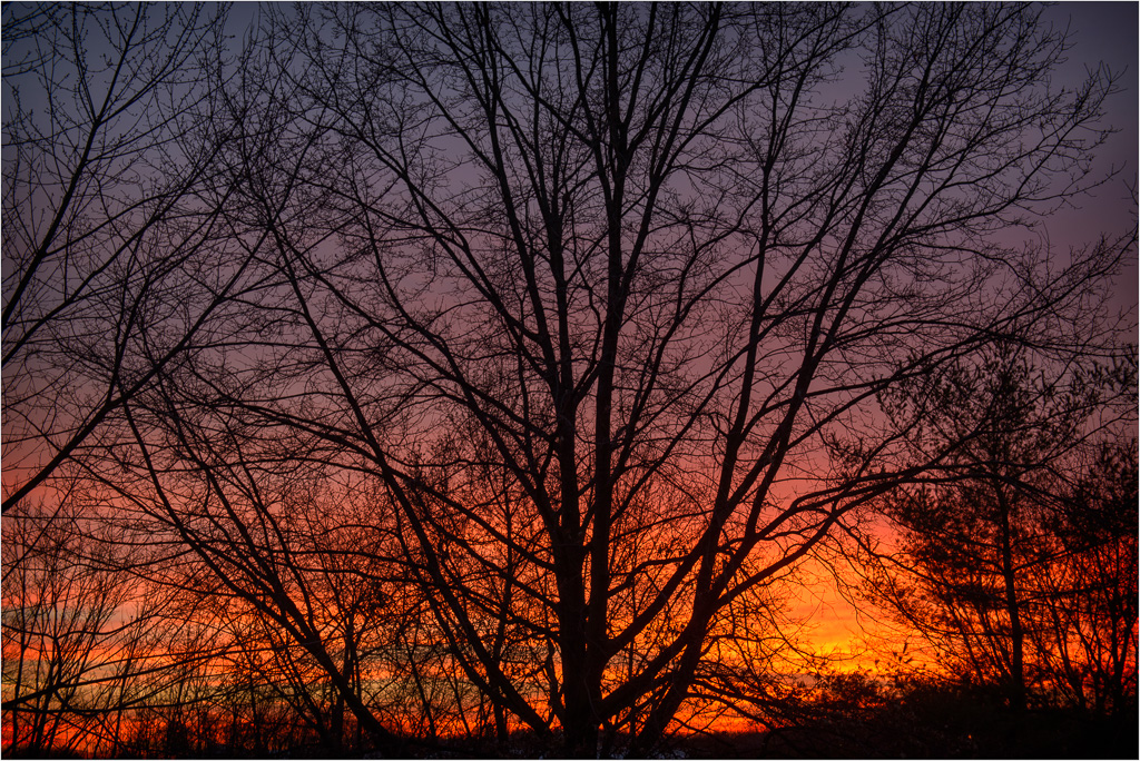 Silhouettes-And-Layered-Sunsets.jpg