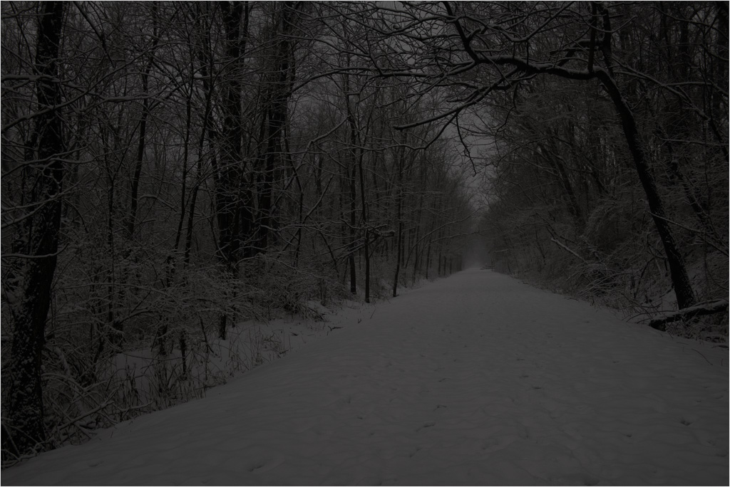 The-Dark-And-Snowy-Path.jpg