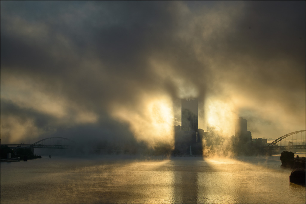 Backlit-On-A-Foggy-Morning.jpg