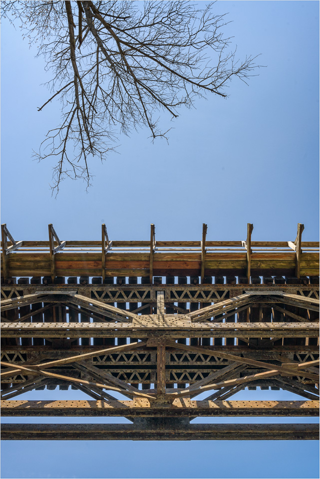 Bridge-And-Tree.jpg