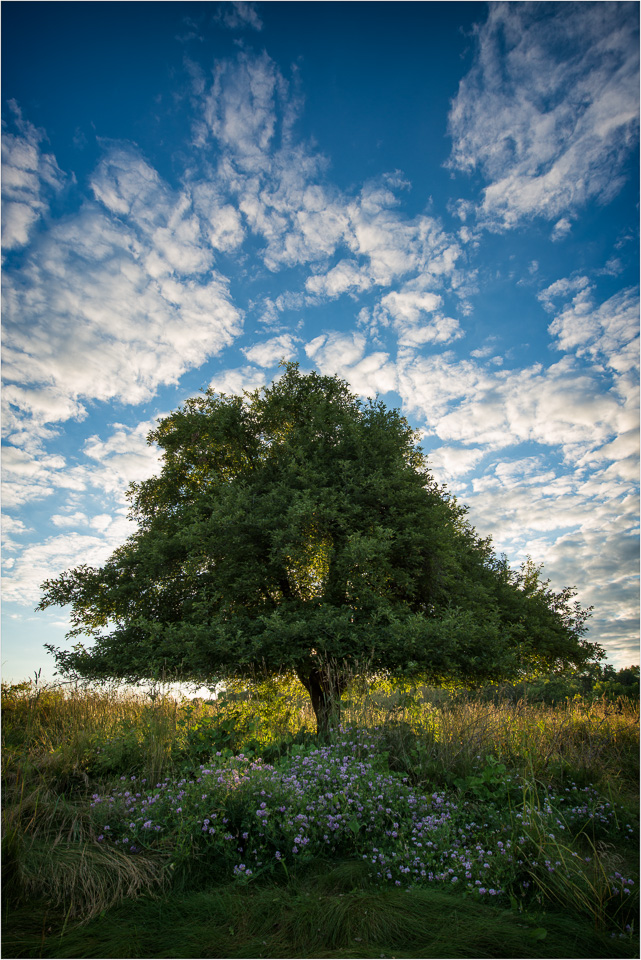 Set-Against-The-Cloud-Filled-Sky.jpg