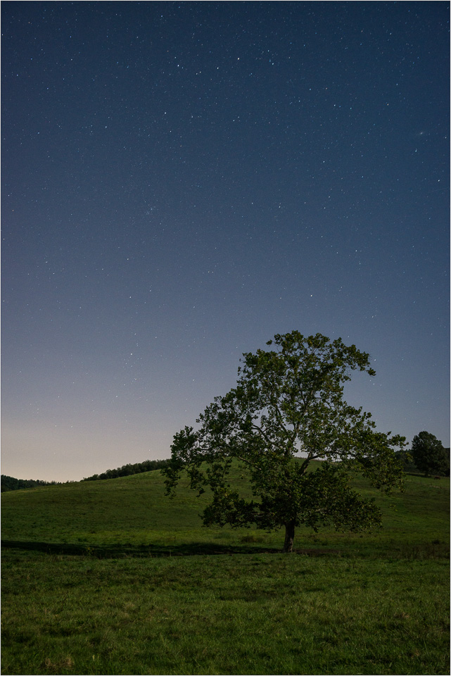 Stars-Over-The-Lonely-Elder.jpg