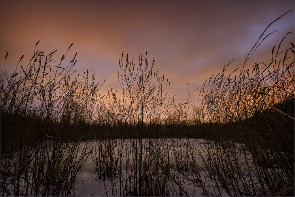 Sunset-In-The-Wetlands.jpg