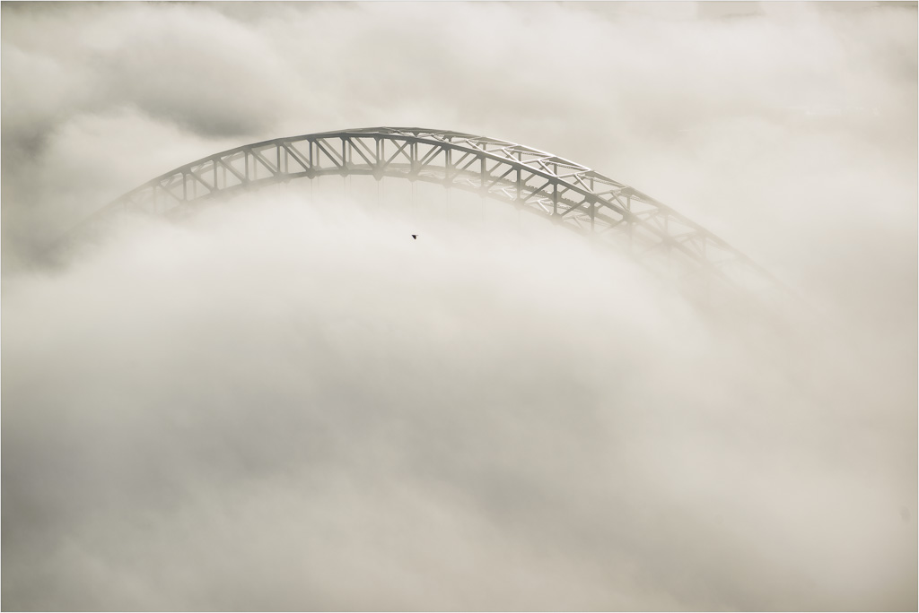 Bridging-The-Fog.jpg