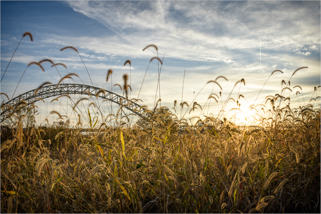 Catching-The-Soft-Morning-Light.jpg