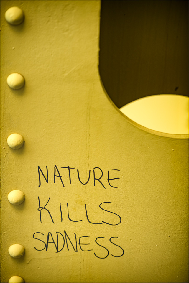 Nature-Kills-Sadness.jpg