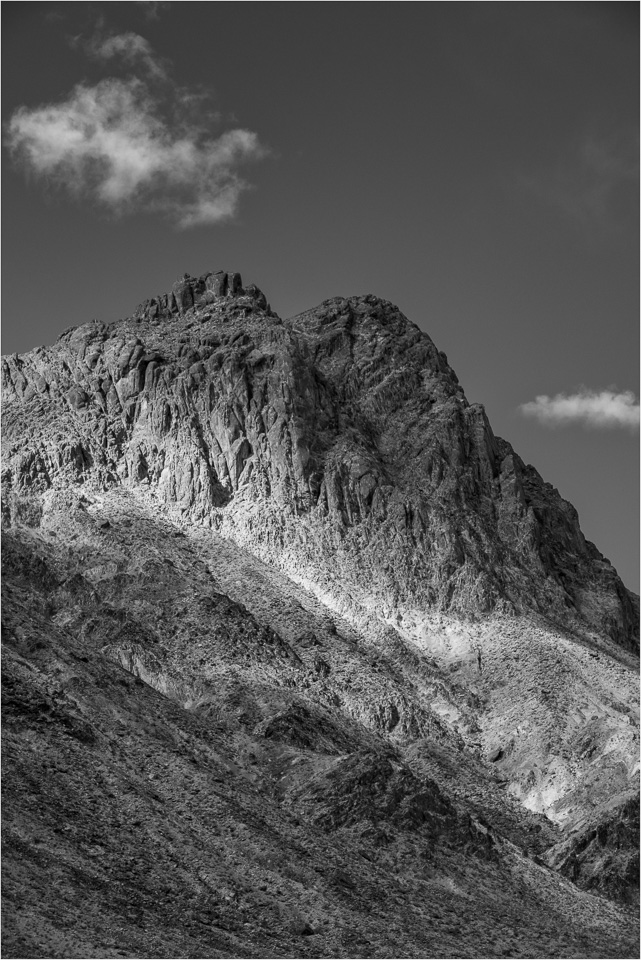 Contrasts-On-The-Cottonwoods.jpg