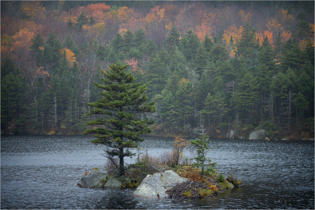 The-Island-At-Beaver-Pond.jpg