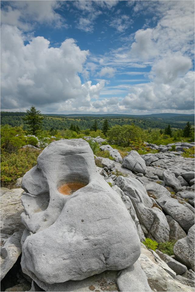 Carved-By-Ma-Nature.jpg