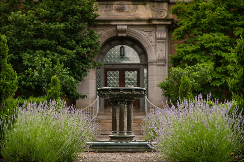 Soft-Light-At-The-Hall-Of-Botany.jpg