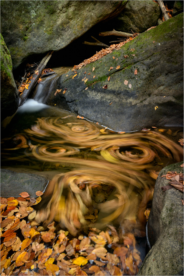 Stirring-Autumn's-Cauldron.jpg